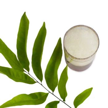 Teh Daun Longgar Massal